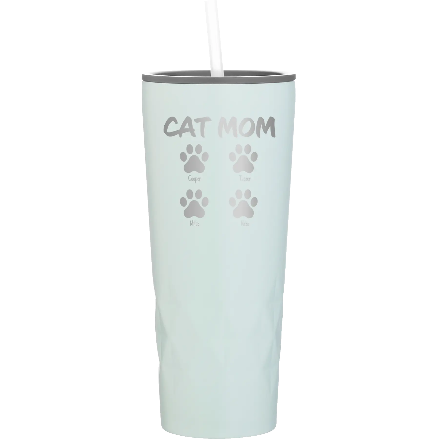 Personalized meadow 20 oz vacuum insulated tumbler with 'Cat Dog Mom Dad 4 paws' design