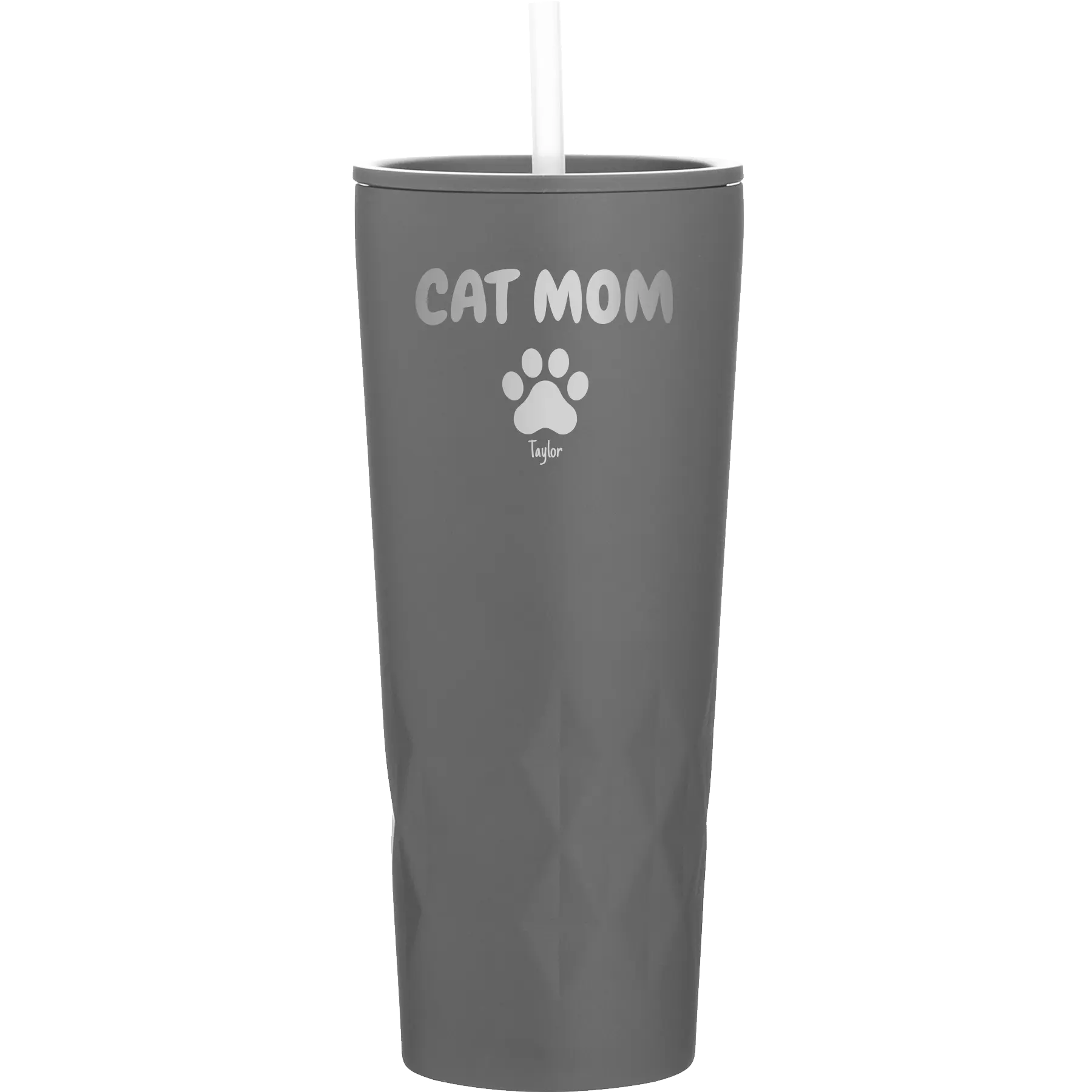 Personalized slate 20 oz vacuum insulated tumbler with 'Cat Dog Mom Dad 1 paw' design