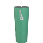 Laser etched forage 20 oz vacuum insulated tumbler with 'Delaware Home' design