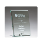 Clear glass easel award for milestones, recognition, or events. Laser etched.