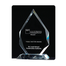 Etched flame series optical crystal award for events, employee recognition, and milestones.