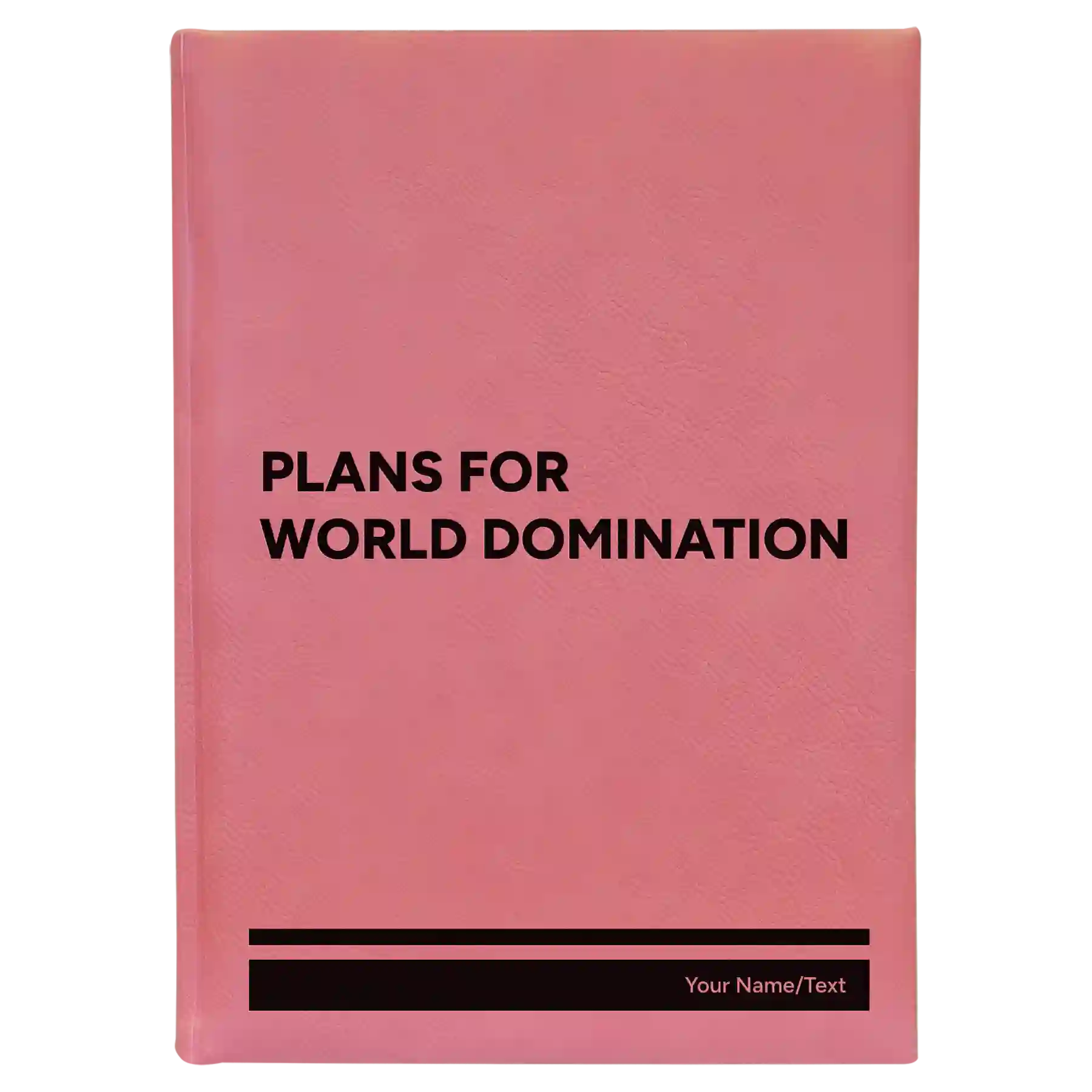 Large pink leatherette journal laser etched with 'World Domination' design