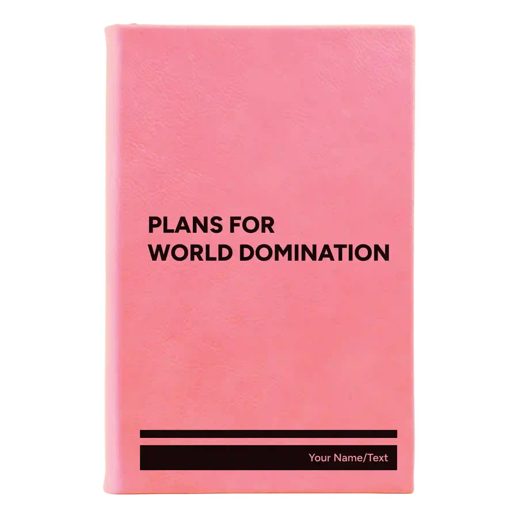 Small pink leatherette journal laser etched with 'World Domination' design